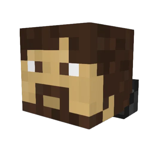 Twanmast4 Minecraft avatar head, 3D render
