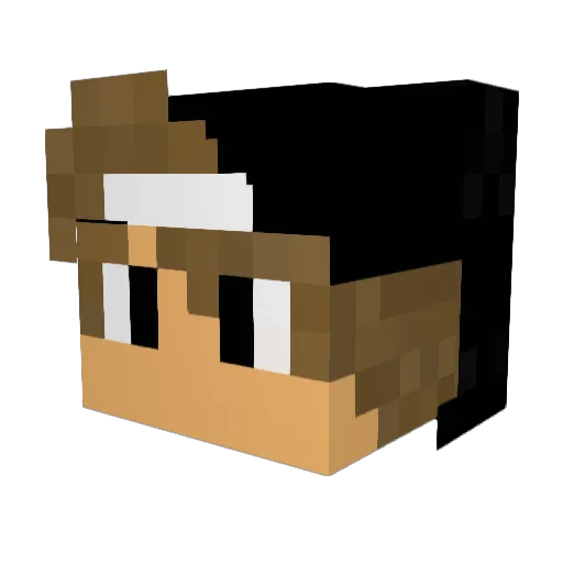 Twantjuhh Minecraft avatar head, 3D render