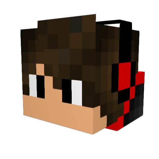 Twanvd219 Minecraft avatar head, 3D render