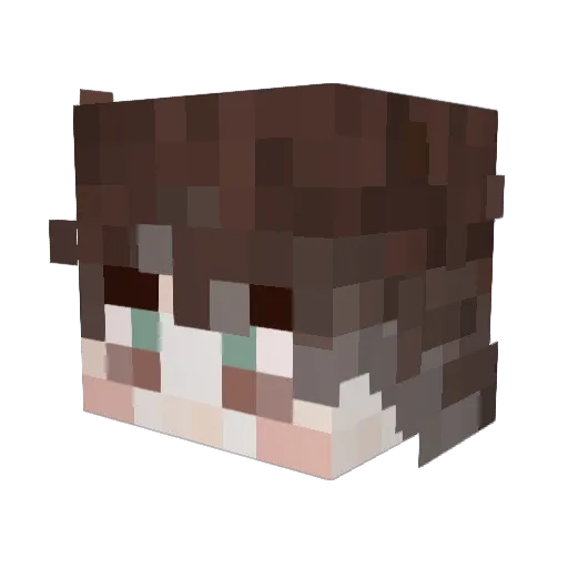 TwasTheTism Minecraft avatar head, 3D render
