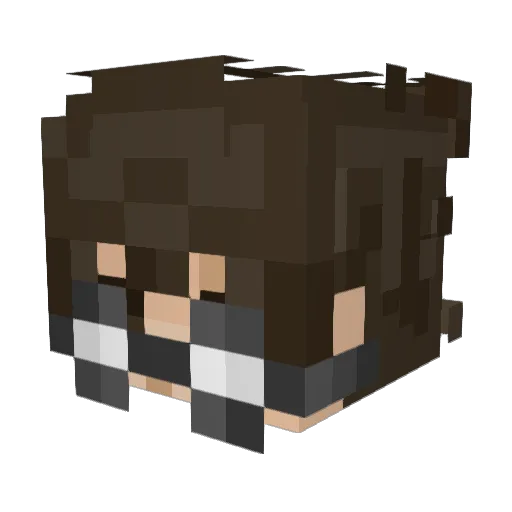 Tweaking808 Minecraft avatar head, 3D render