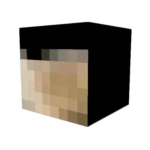 Twee27 Minecraft avatar head, 3D render