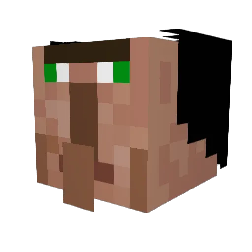 TweeRobin2073 Minecraft avatar head, 3D render