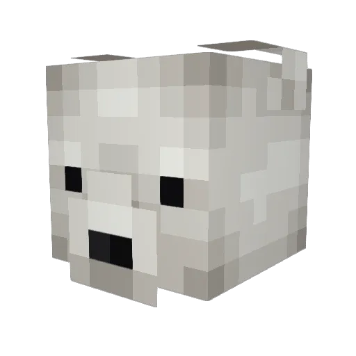 Tweed_Bear Minecraft avatar head, 3D render