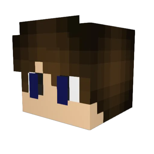 TweedyVox24 Minecraft avatar head, 3D render