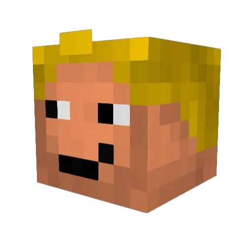 Tweeki Minecraft avatar head, 3D render