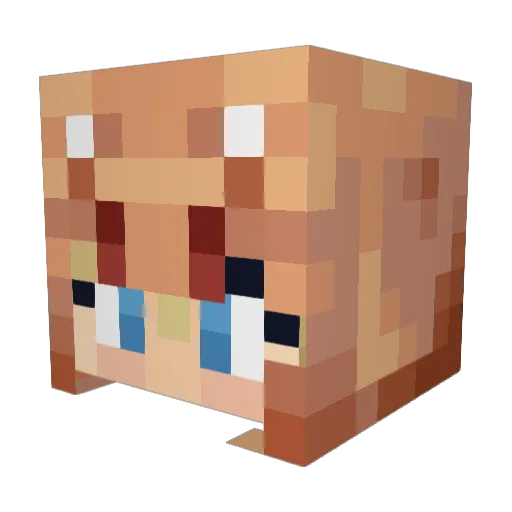 Tweelus Minecraft avatar head, 3D render
