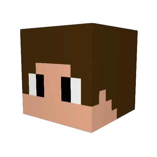 Twees_Gamer Minecraft avatar head, 3D render