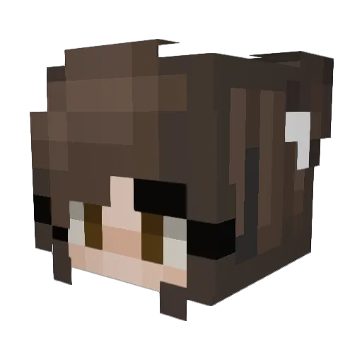 Tweetie_ Minecraft avatar head, 3D render