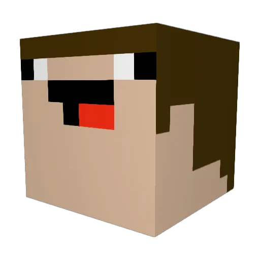 Tweets29 Minecraft avatar head, 3D render