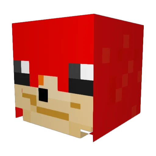 Tweezeyyy Minecraft avatar head, 3D render