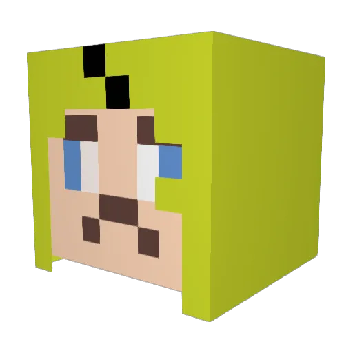Twelsy Minecraft avatar head, 3D render