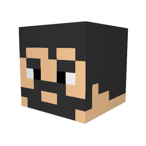 TwelveBeBack Minecraft avatar head, 3D render