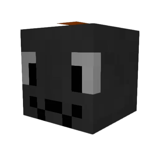 TwelveDig Minecraft avatar head, 3D render