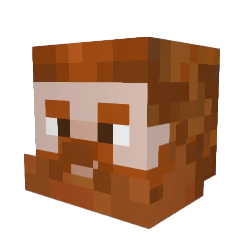 TwelveFatCats Minecraft avatar head, 3D render