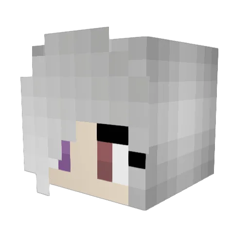 TwelveSphynx Minecraft avatar head, 3D render