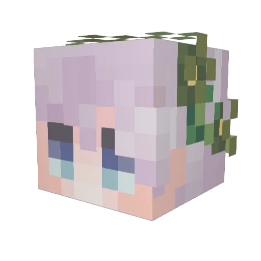Twennnn Minecraft avatar head, 3D render