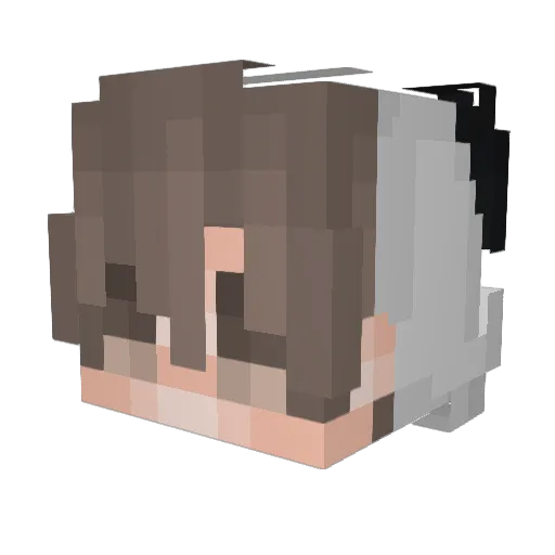 Twenttyy Minecraft avatar head, 3D render
