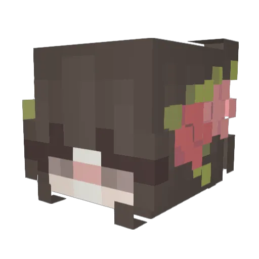 Twenty2KK Minecraft avatar head, 3D render