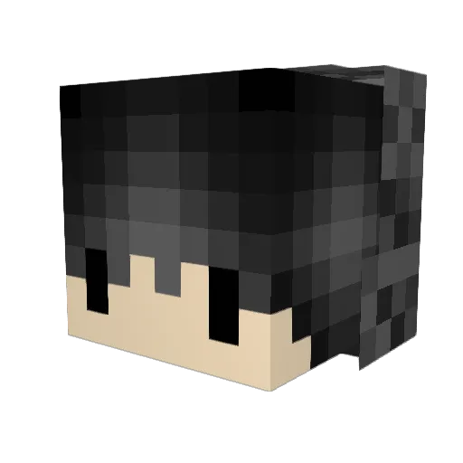 TwentyOneTimez Minecraft avatar head, 3D render