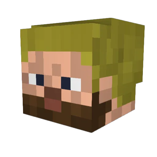 TwentyTwest Minecraft avatar head, 3D render