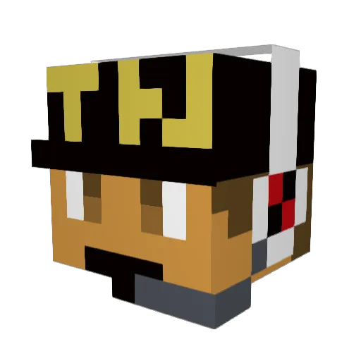 Twenty_Nine Minecraft avatar head, 3D render