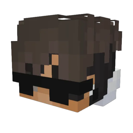 Twets Minecraft avatar head, 3D render