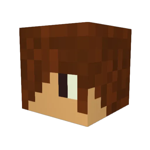 Twfang Minecraft avatar head, 3D render