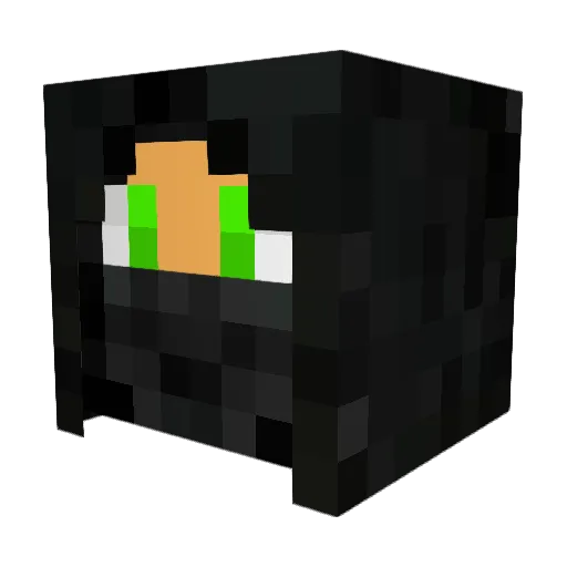 TwiTy_PvP Minecraft avatar head, 3D render