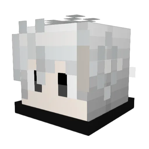 Twi_Lt Minecraft avatar head, 3D render