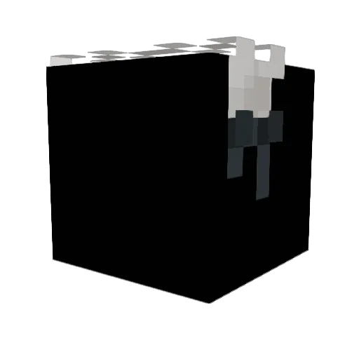 Twiceye Minecraft avatar head, 3D render
