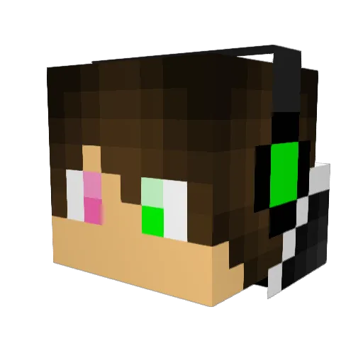 Twigg9165 Minecraft avatar head, 3D render