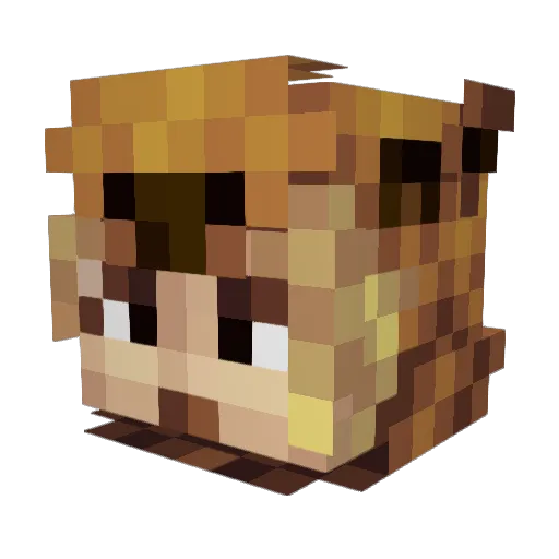 Twiggeh Minecraft avatar head, 3D render