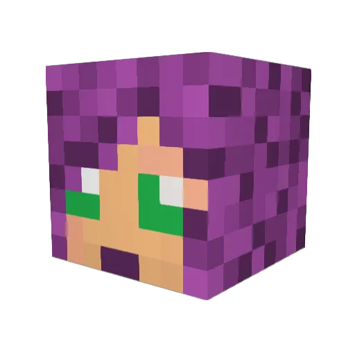 Twiggnberry Minecraft avatar head, 3D render