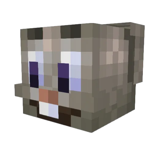 Twiggski Minecraft avatar head, 3D render