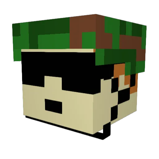 Twiggy4308 Minecraft avatar head, 3D render