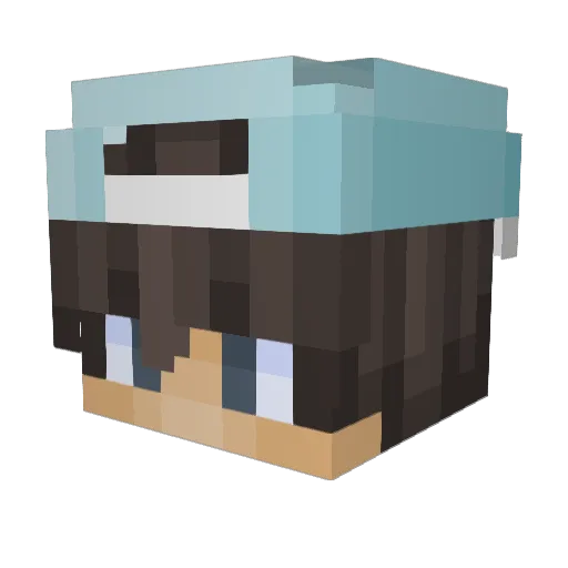 Twiggynadav Minecraft avatar head, 3D render