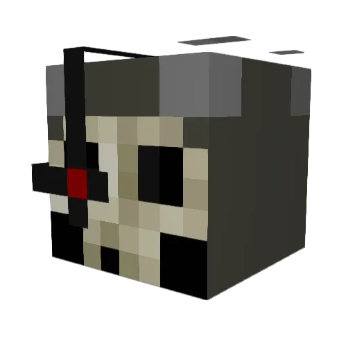 Twigs25 Minecraft avatar head, 3D render
