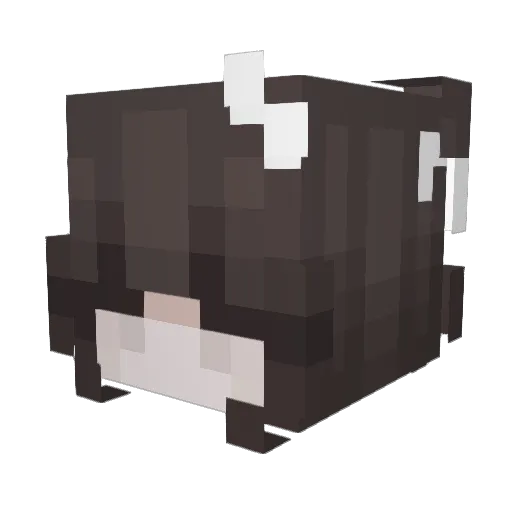 Twiiin Minecraft avatar head, 3D render