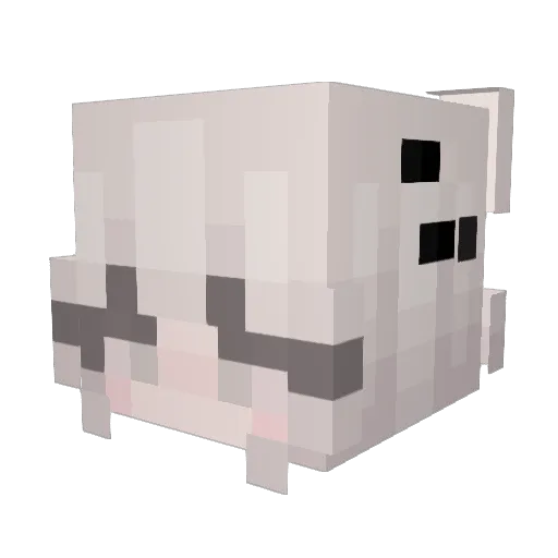 Twilight0724 Minecraft avatar head, 3D render