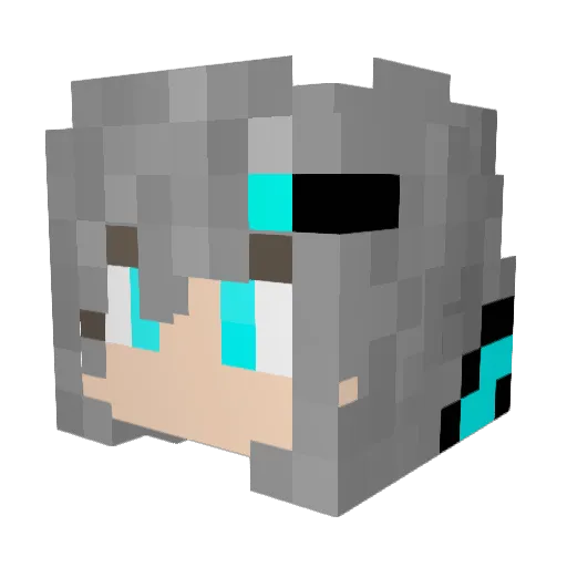 Twilight2033 Minecraft avatar head, 3D render