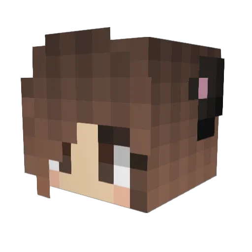 Twilight4Dragon Minecraft avatar head, 3D render