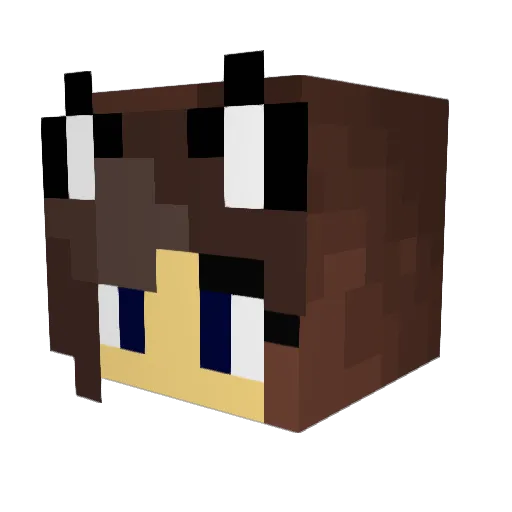 Twilight519 Minecraft avatar head, 3D render