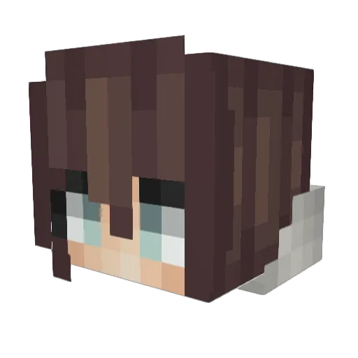 TwilightGalaxies Minecraft avatar head, 3D render