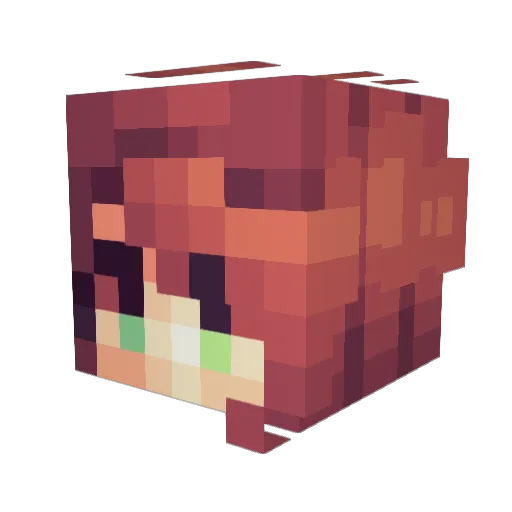 TwilightHunter2 Minecraft avatar head, 3D render