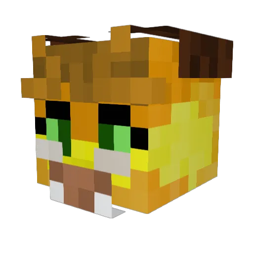 TwilightWizard Minecraft avatar head, 3D render