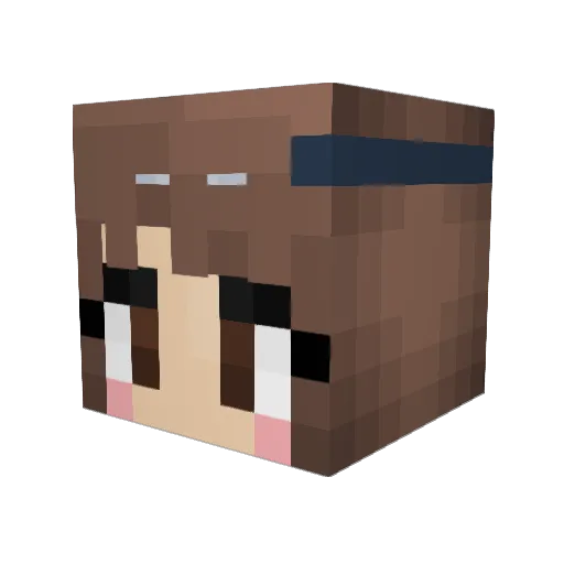 Twilight_AUE Minecraft avatar head, 3D render