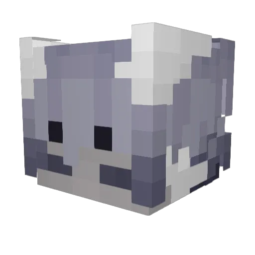 Twills Minecraft avatar head, 3D render