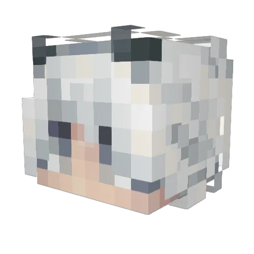 Twimbli Minecraft avatar head, 3D render