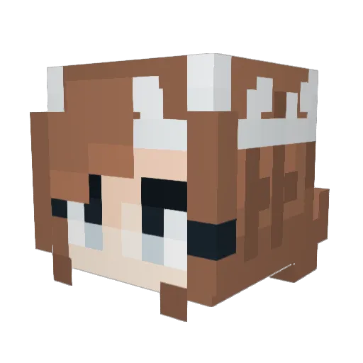 Twin3 Minecraft avatar head, 3D render